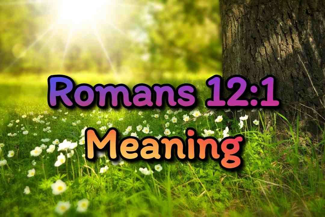 Romans 12-1 Meaning