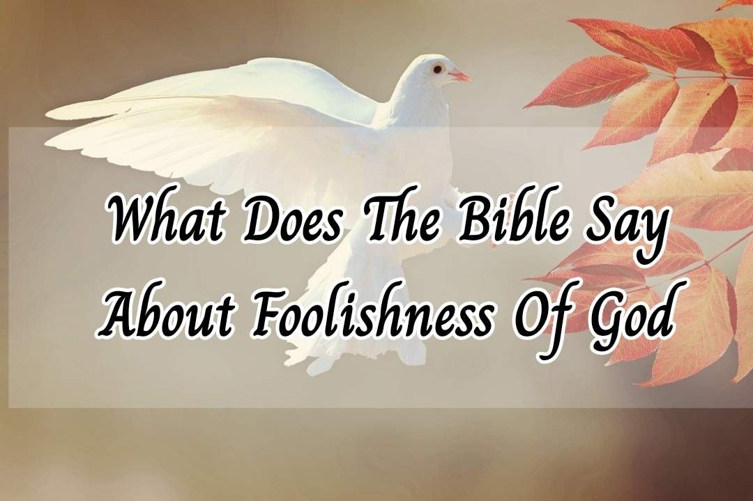 the foolishness of god