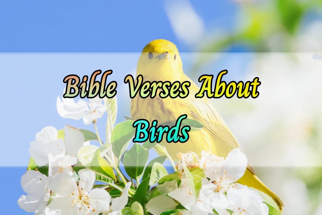 Bible Verses About Birds