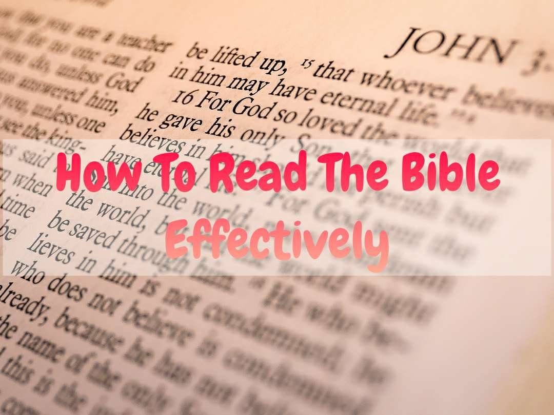 Read The Bible Effectively
