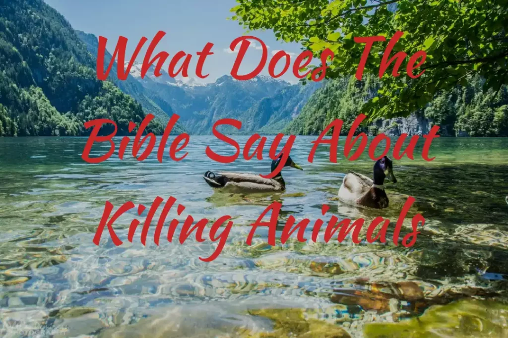 The Bible Say About Killing Animals