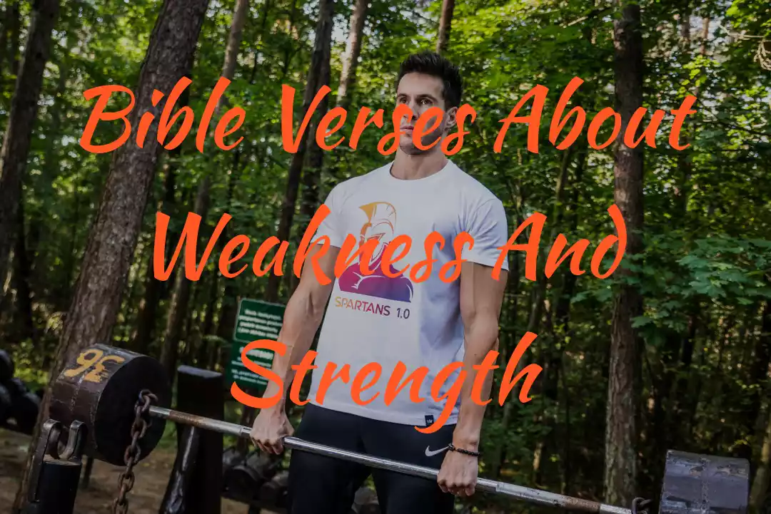 Bible Verses About Weakness And Strength