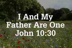 John 10:30 Meaning
