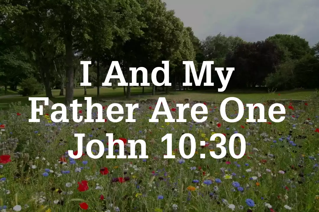 John 10:30 Meaning