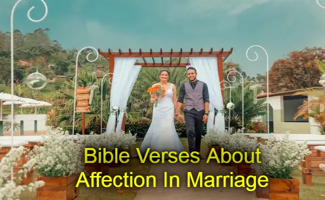 Bible Verses About Affection In Marriage