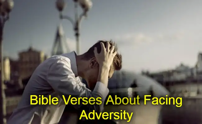 Bible Verses About Facing Adversity