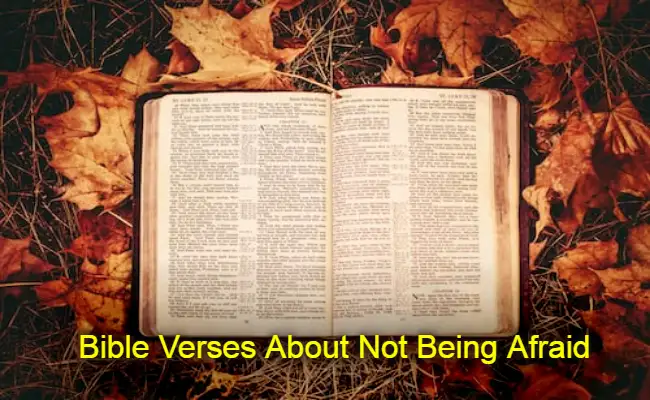 Bible Verses About Not Being Afraid