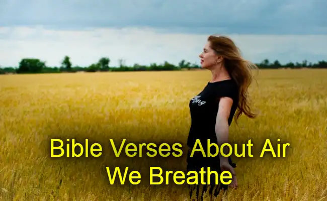Bible Verses About Air We Breathe