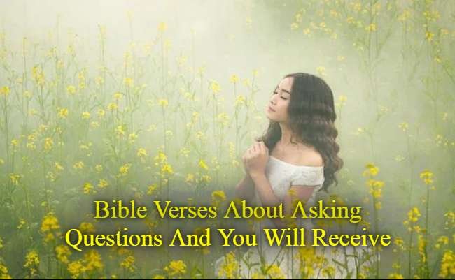 Bible Verses About Asking Questions And You Will Receive