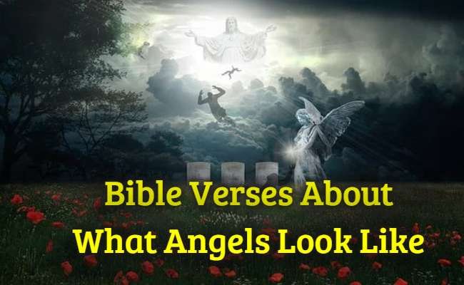 Bible Verses About What Angels Look Like