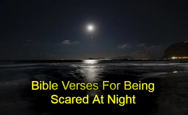 Bible Verses For Being Scared At Night