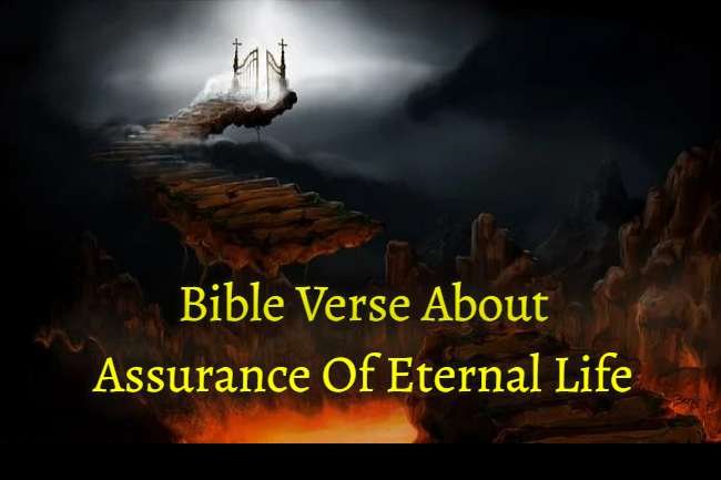 Bible Verse About Assurance Of Eternal Life