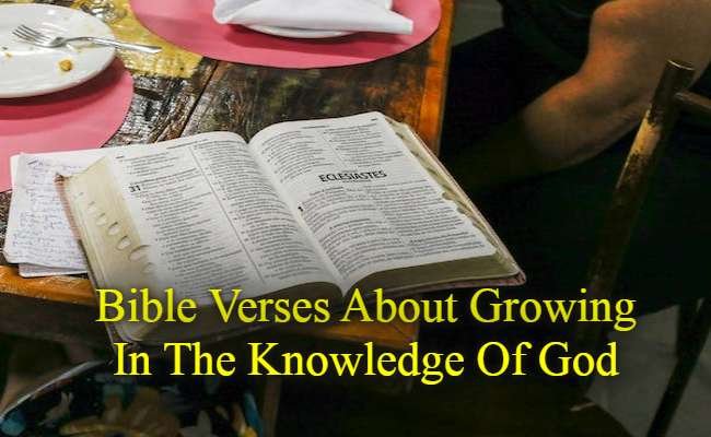 Bible Verses About Growing In The Knowledge Of God