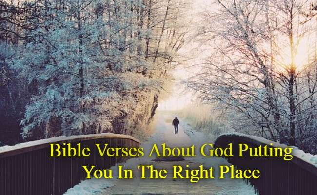 Bible Verses About God Putting You In The Right Place
