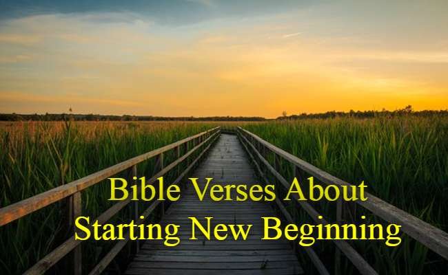 Bible Verses About Starting New Beginning